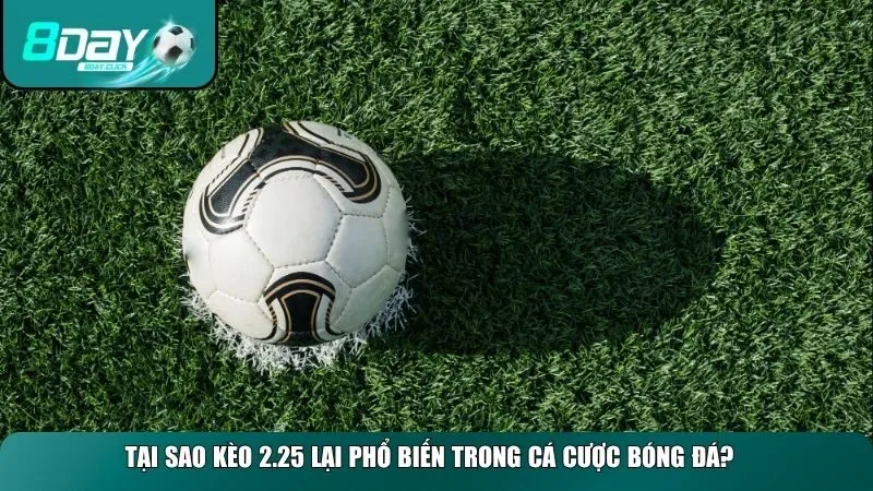 Khái niệm kèo 2.25 là gì càng phổ biến trong cá cược bóng đá