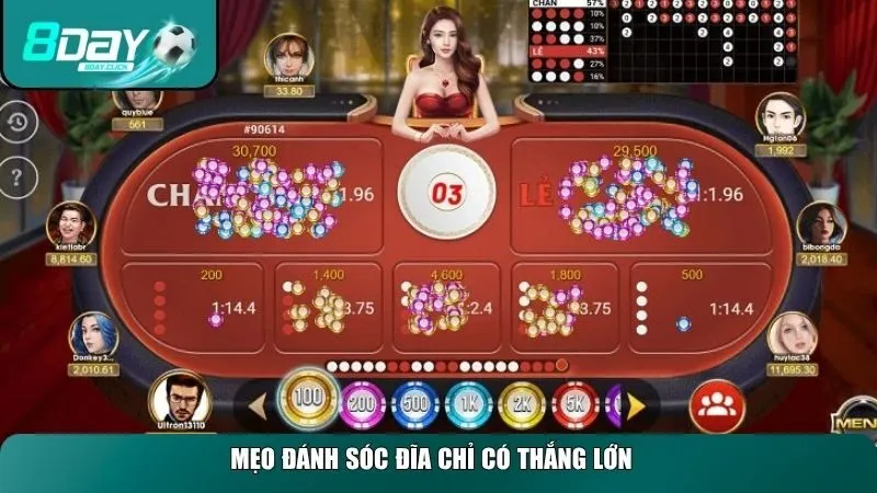 Mẹo đánh sóc đĩa chỉ có thắng lớn