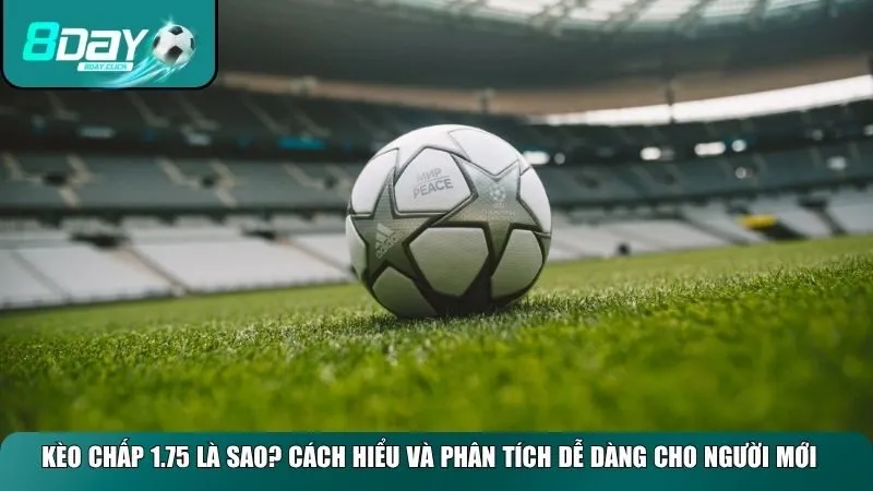 Kèo chấp 1.75 là sao? Cách hiểu và phân tích dễ dàng cho người mới