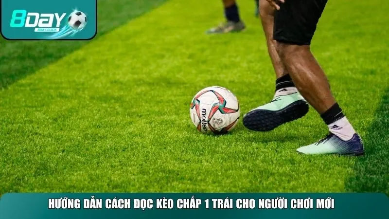 Hướng dẫn cách đọc kèo chấp 1 trái cho người chơi mới