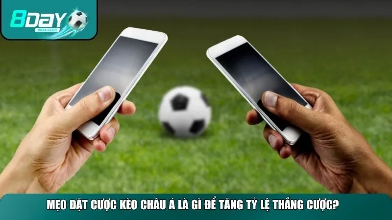 Mẹo đặt cược kèo châu Á là gì để tăng tỷ lệ thắng cược?
